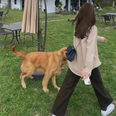 伪造者